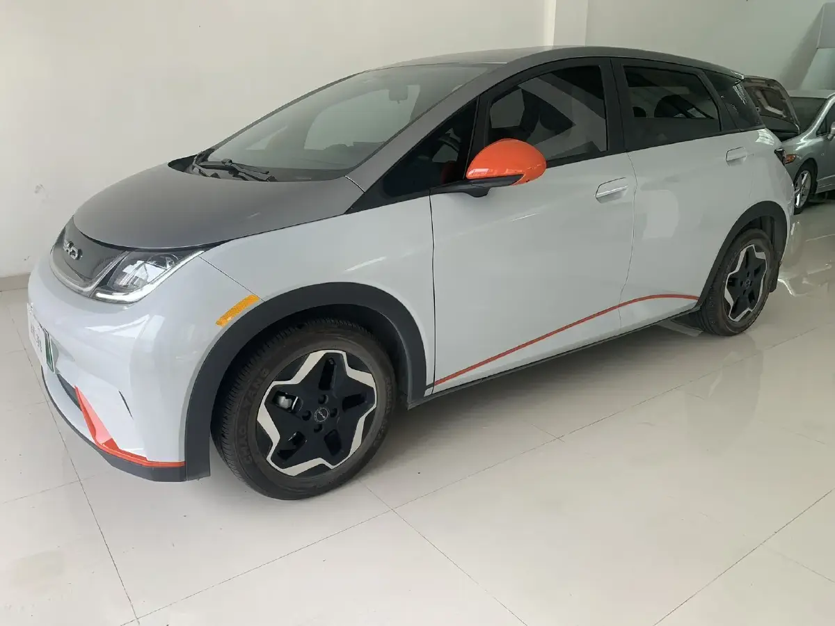 2021 BYD Dolphin BEV 44.9KWH