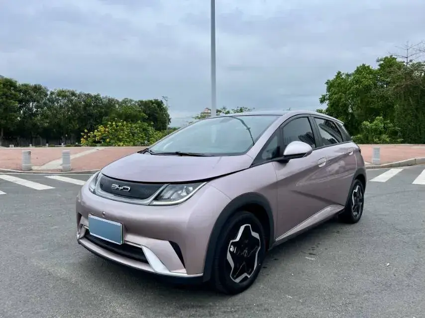 2021 BYD Dolphin BEV 44.9KWH