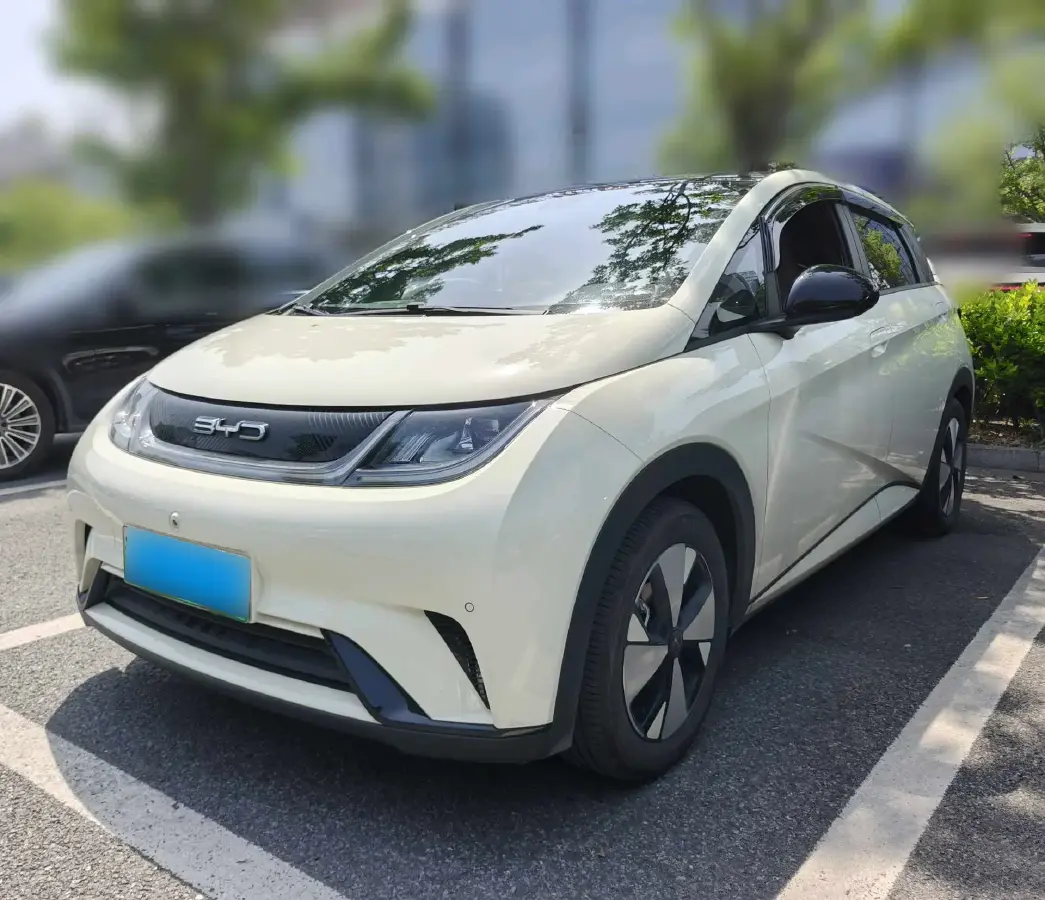2023 BYD Dolphin BEV 44.928KWH