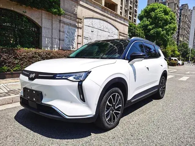 2021 Weltmeister W6 BEV 66.231KWH