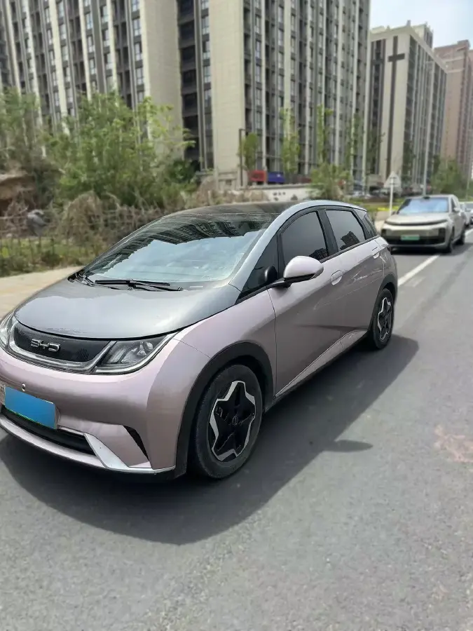 2021 BYD Dolphin BEV 44.9KWH