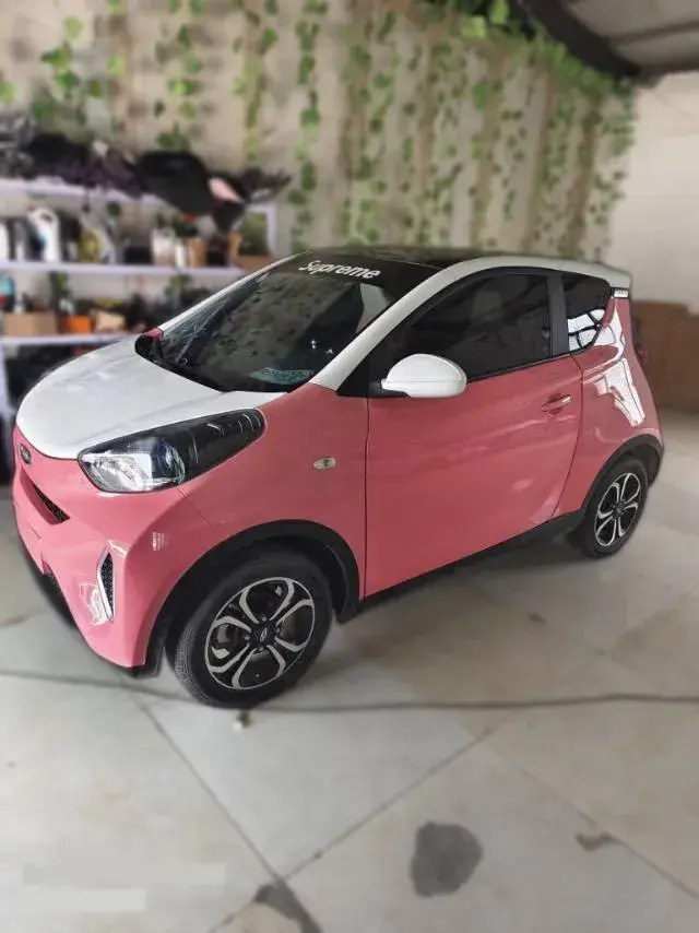 2019 Chery EV Little Ant BEV 30.6KWH