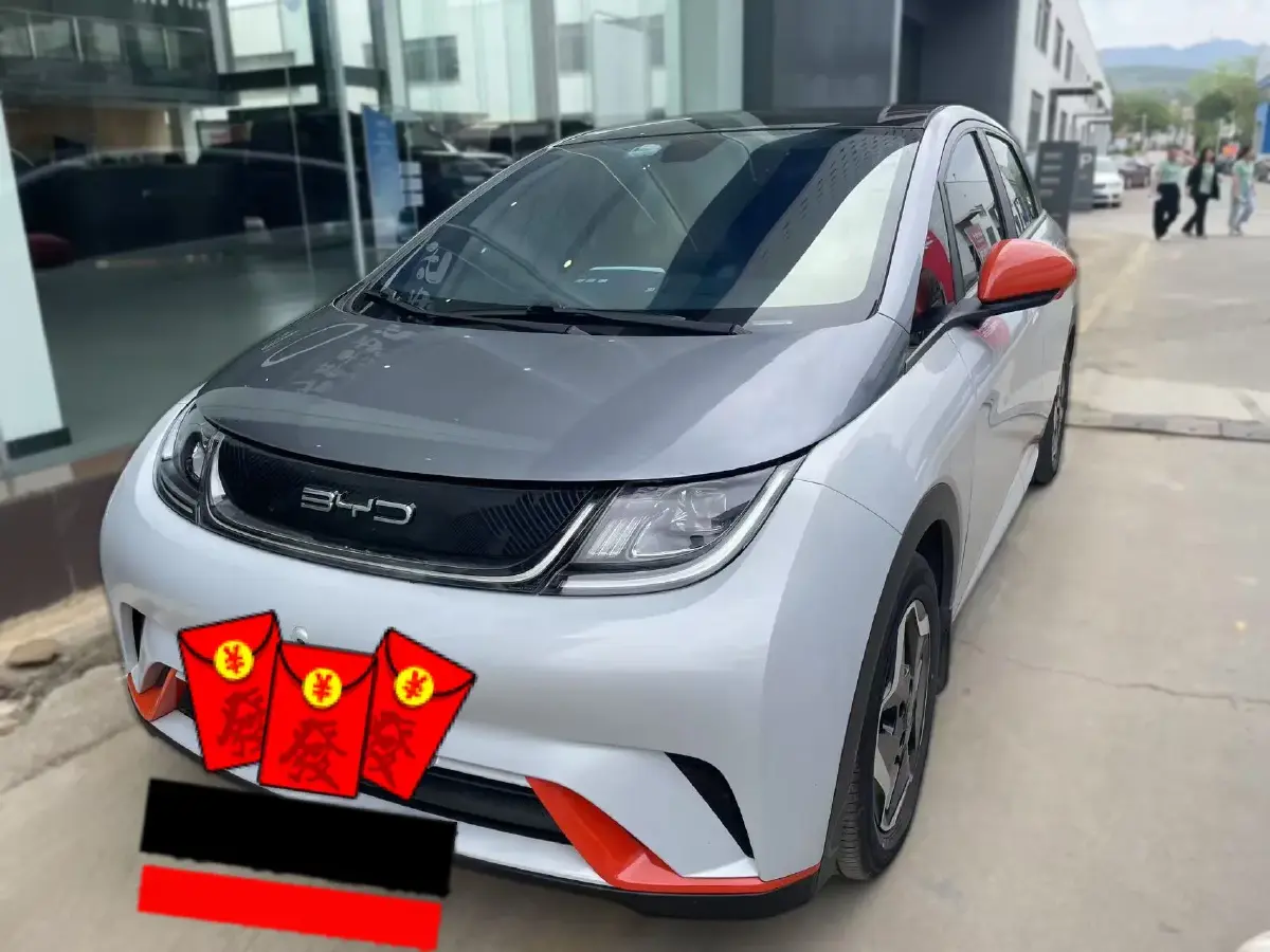 2021 BYD Dolphin BEV 44.9KWH