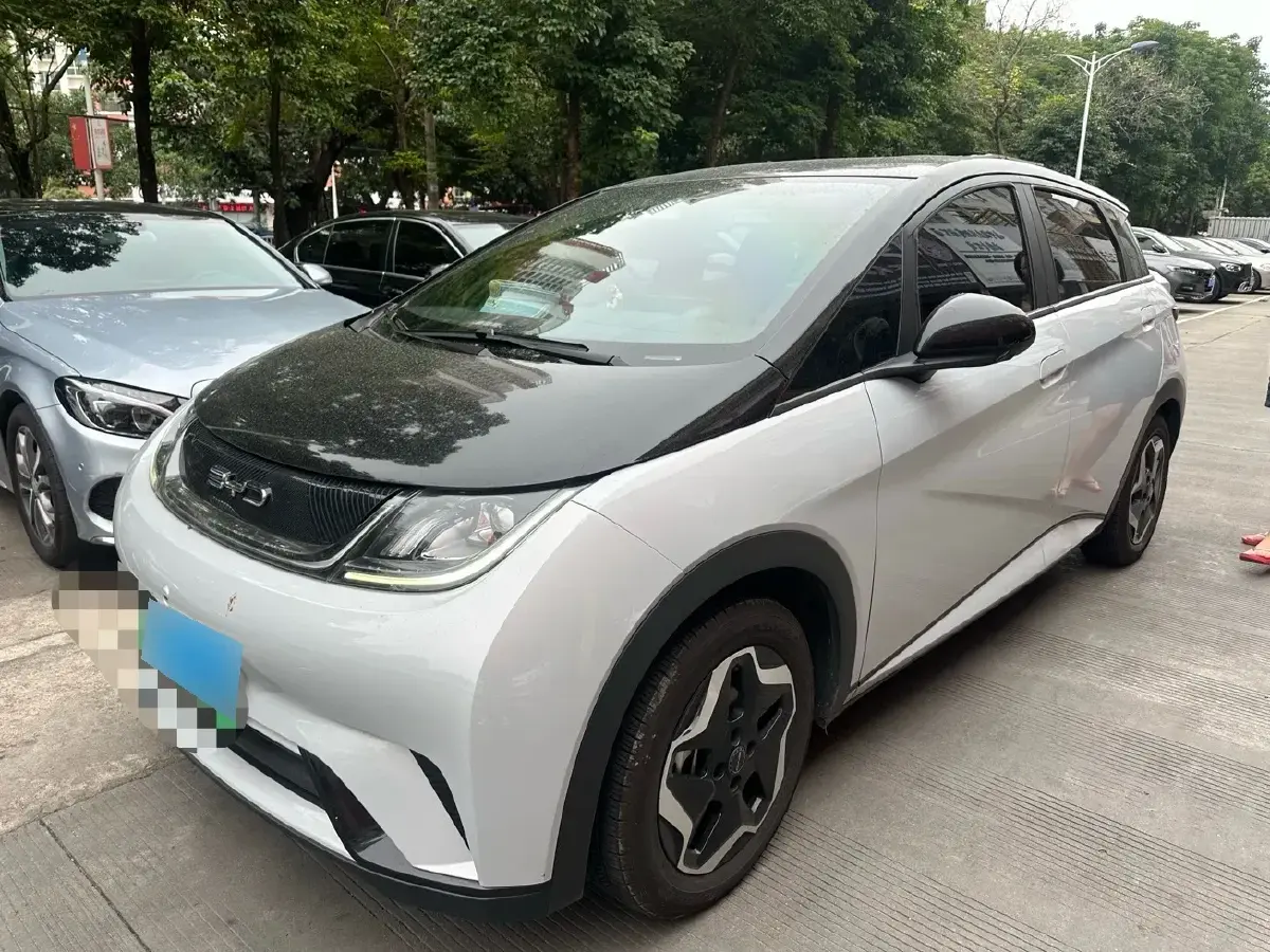 2021 BYD Dolphin BEV 44.9KWH