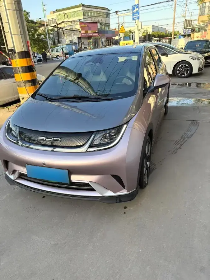 2023 BYD Dolphin BEV 44.928KWH