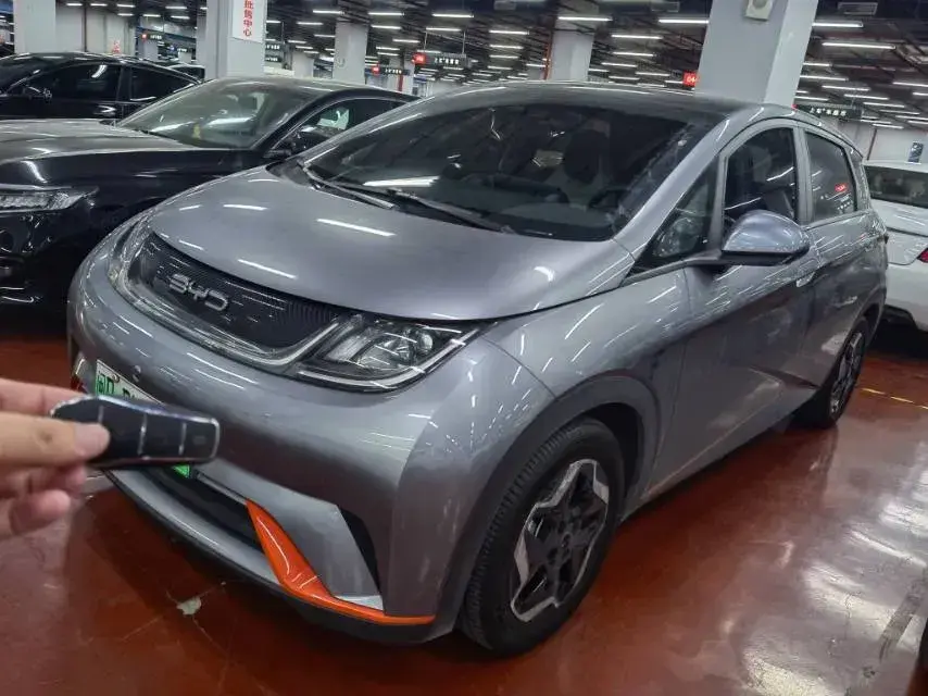 2021 BYD Dolphin BEV 44.9KWH