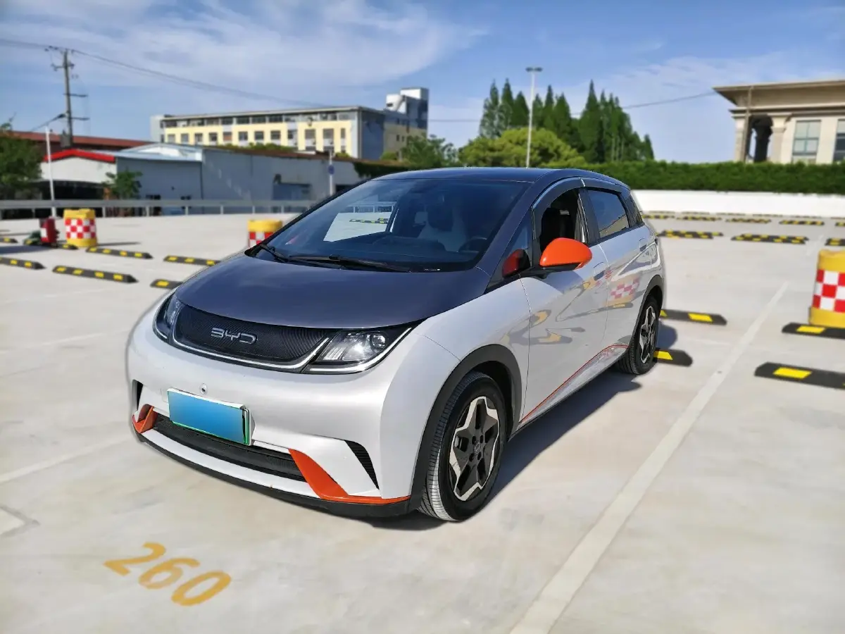 2021 BYD Dolphin BEV 44.9KWH