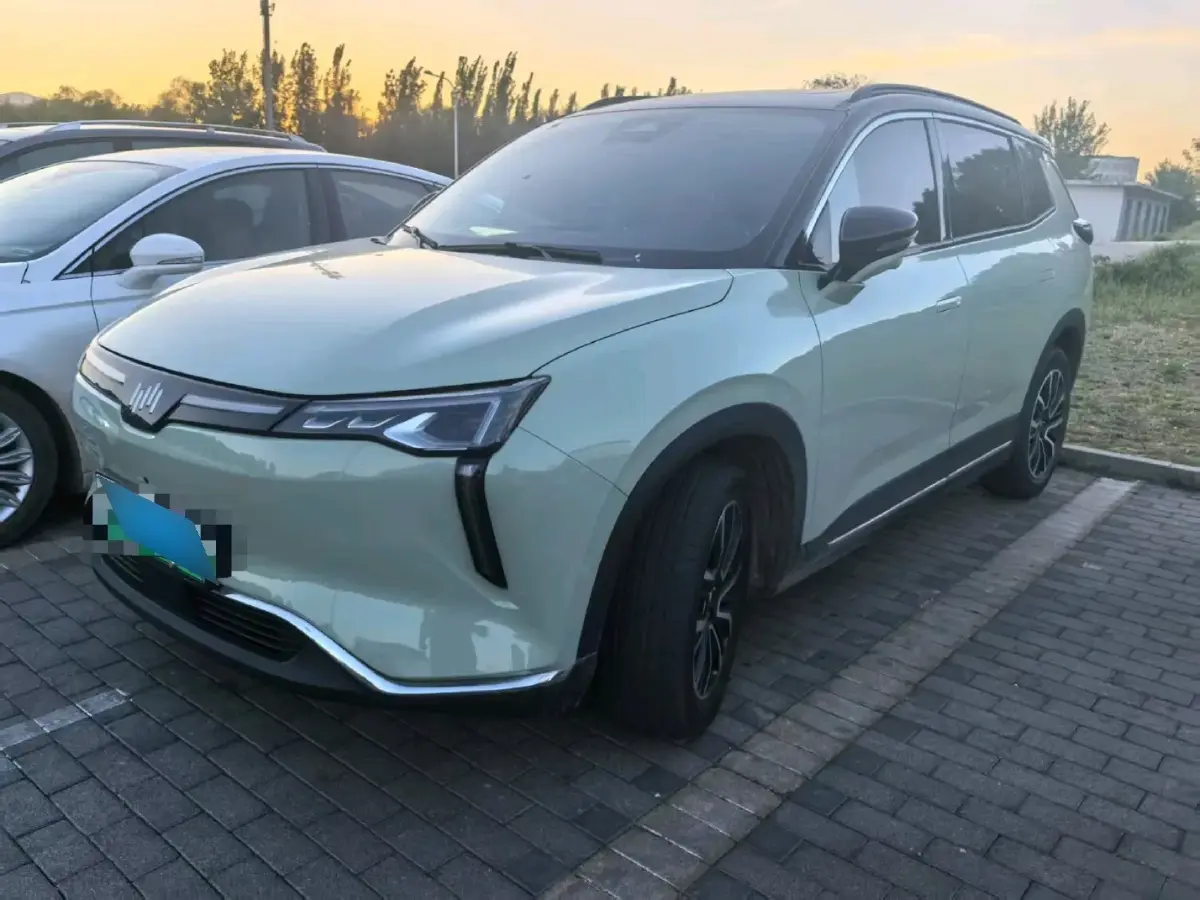 2021 Weltmeister W6 BEV 66.231KWH