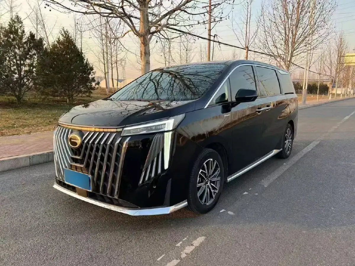 2024 GAC Trumpchi M8 2.0T 252HP L4 8AT