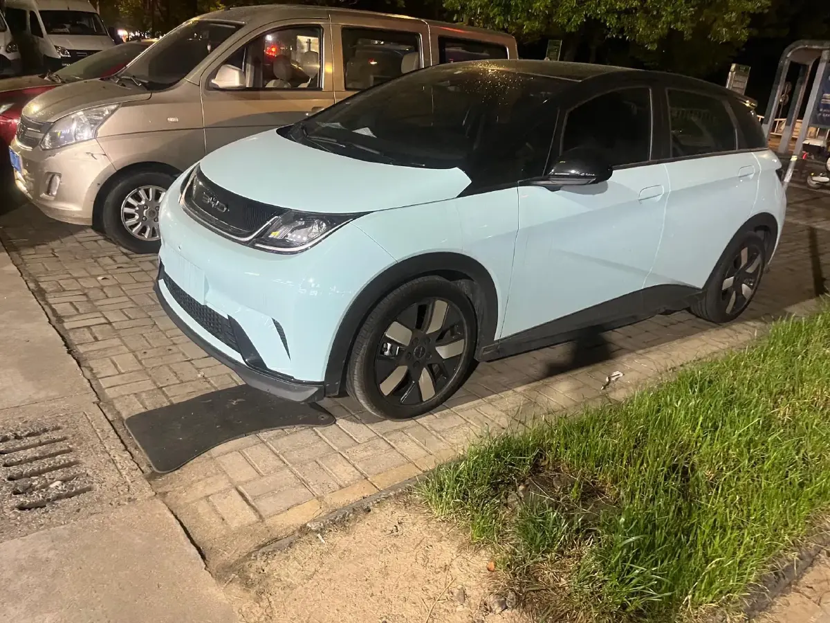 2023 BYD Dolphin BEV 44.928KWH