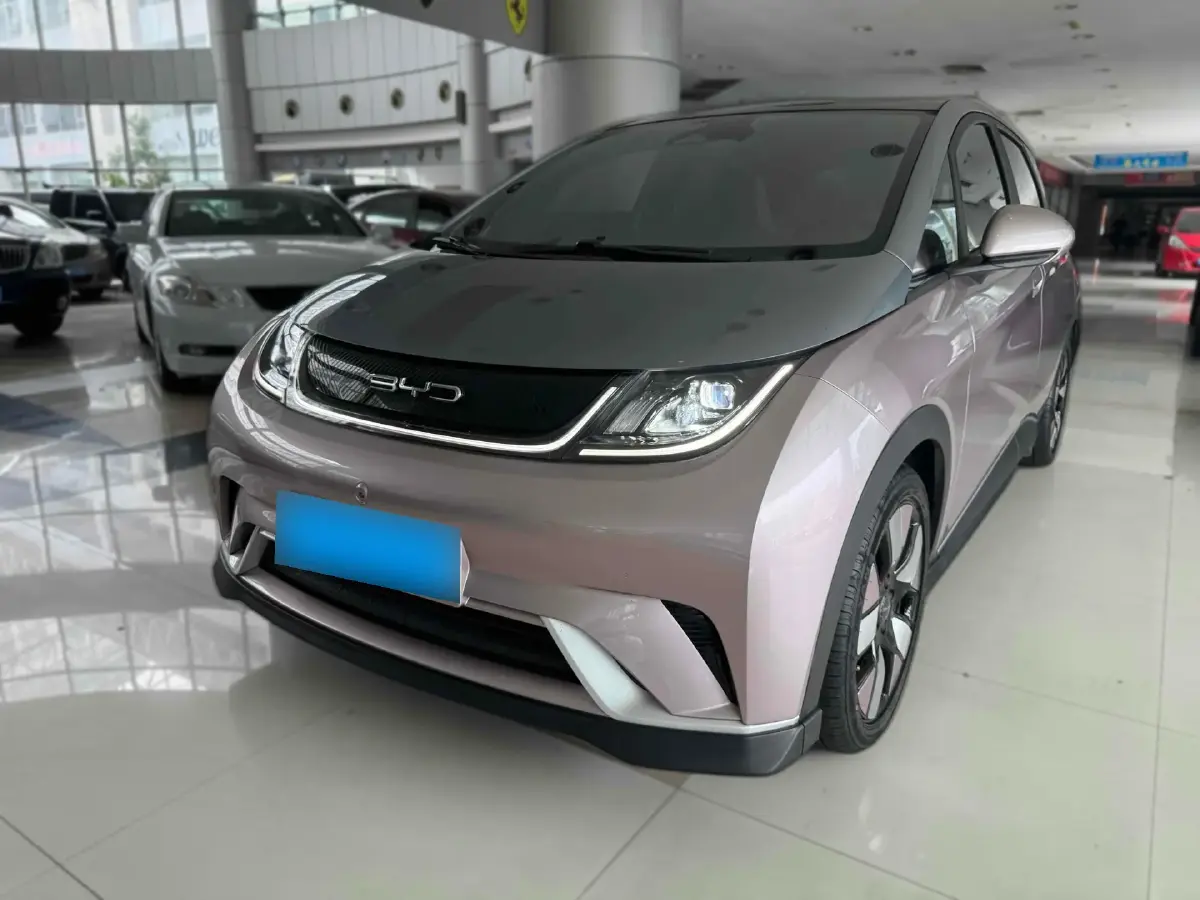 2021 BYD Dolphin BEV 44.9KWH
