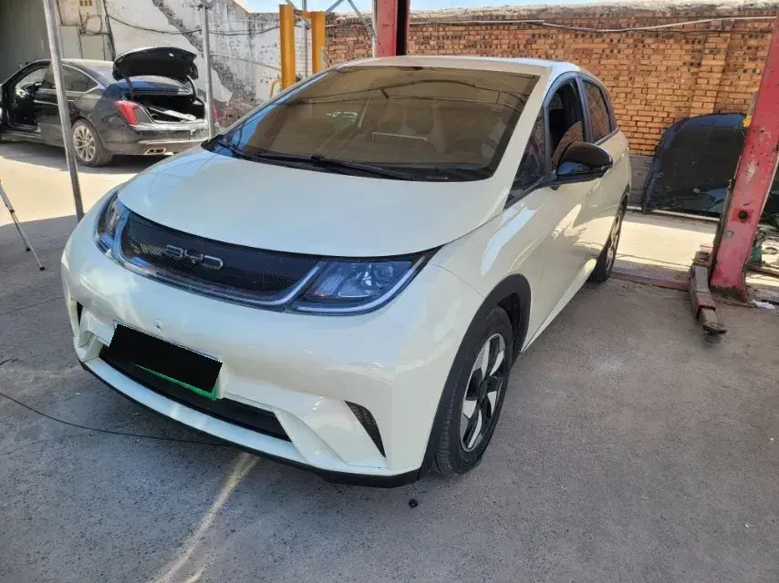 2024 BYD Dolphin BEV 44.928KWH