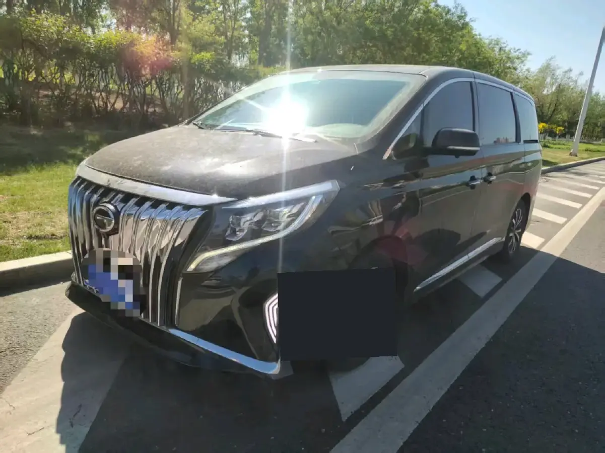 2021 GAC Trumpchi M8 2.0T 252HP L4 8AT