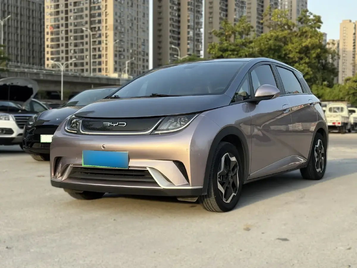 2021 BYD Dolphin BEV 44.9KWH