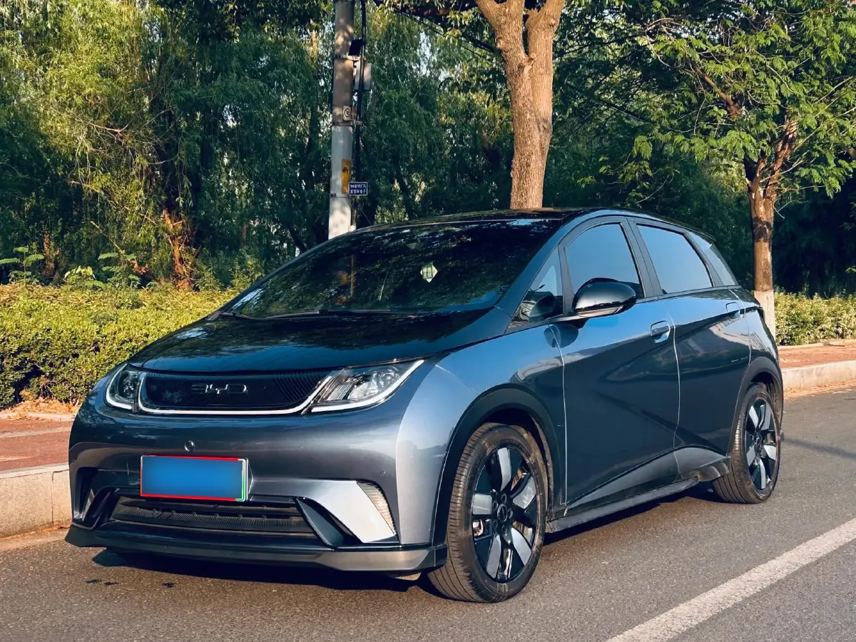 2023 BYD Dolphin BEV 44.928KWH