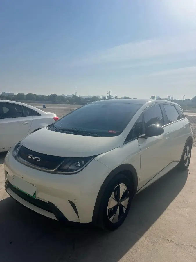 2023 BYD Dolphin BEV 44.928KWH