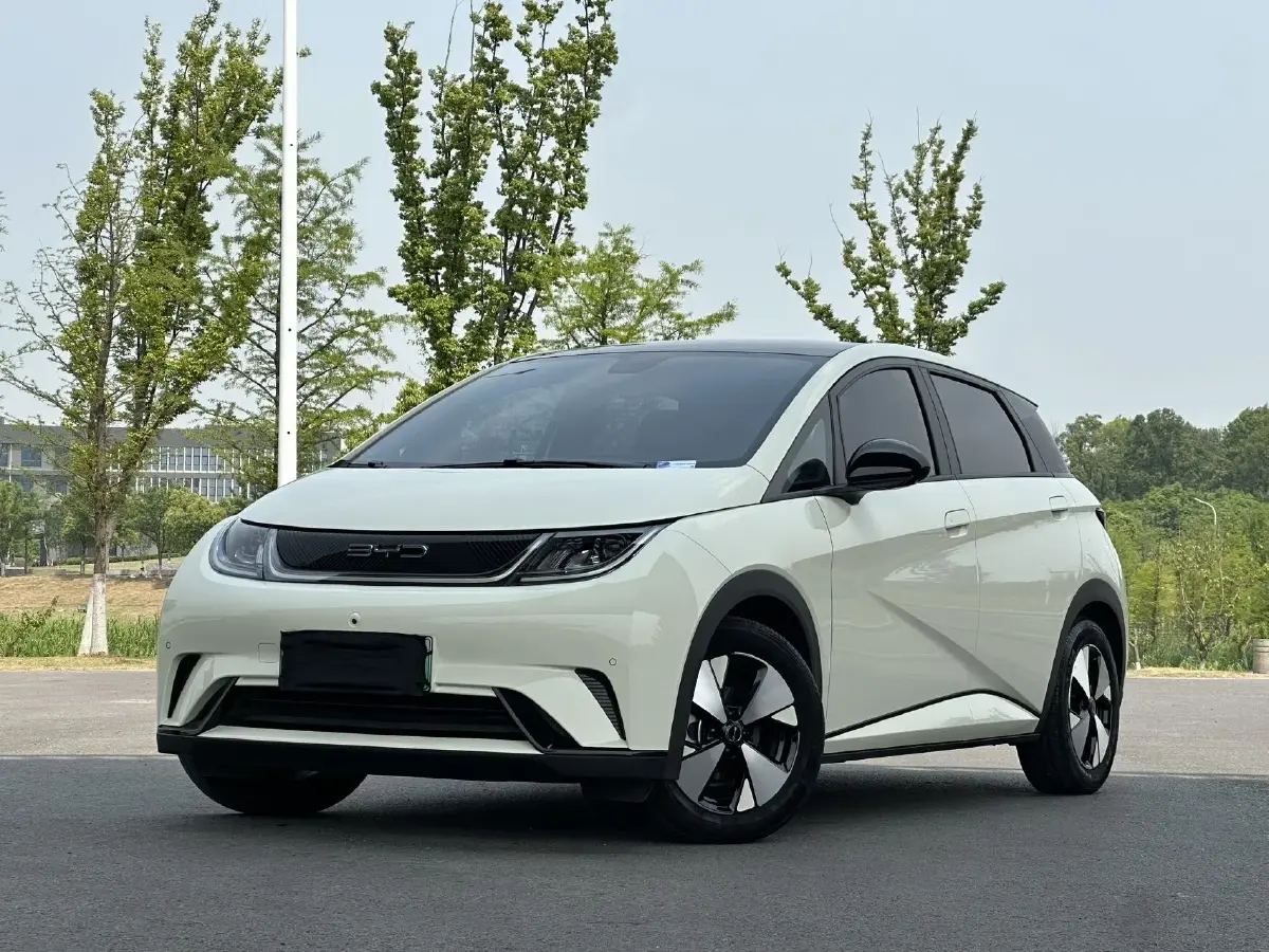 2023 BYD Dolphin BEV 44.928KWH