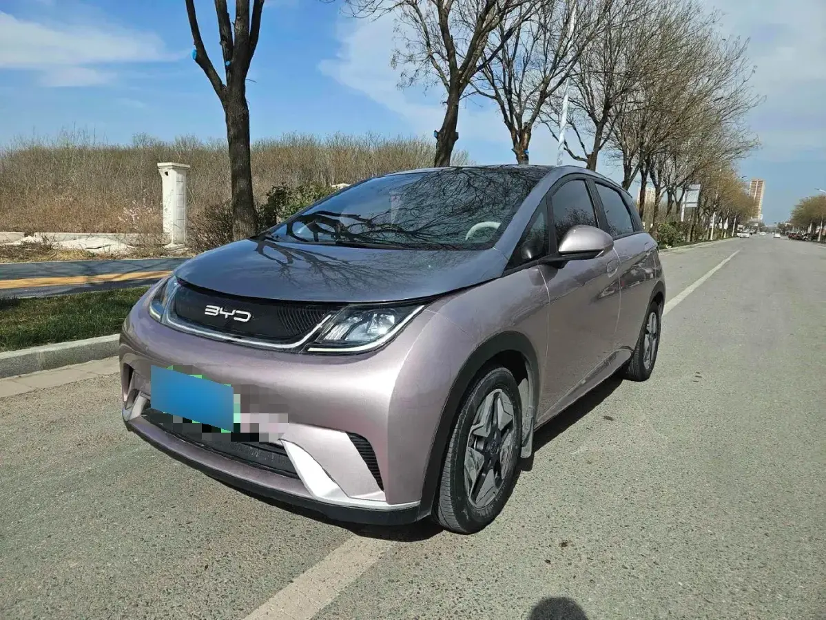 2021 BYD Dolphin BEV 44.9KWH