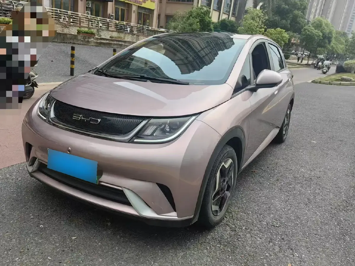 2021 BYD Dolphin BEV 44.9KWH