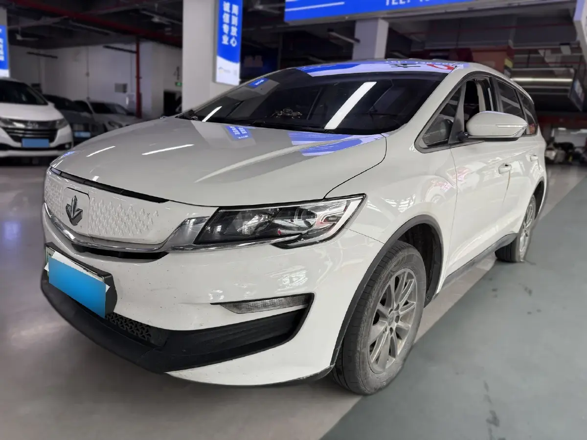 2021 Livan Maple 80v BEV 53KWH