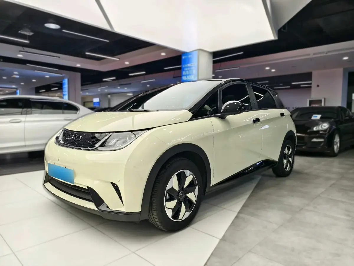 2024 BYD Dolphin BEV 44.928KWH