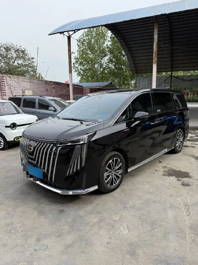 2024 GAC Trumpchi M8 2.0T 252HP L4 8AT