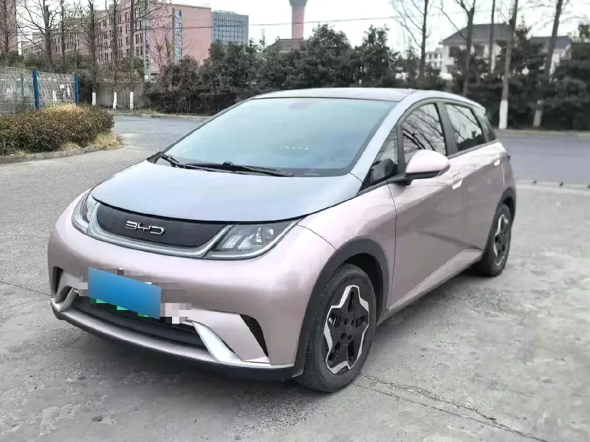 2021 BYD Dolphin BEV 44.9KWH
