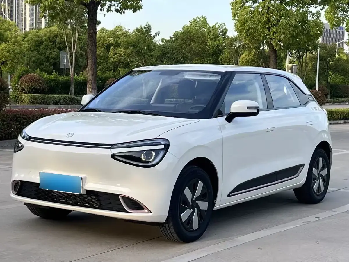 2024 DongFeng Nammi 01 BEV 31.45KWH