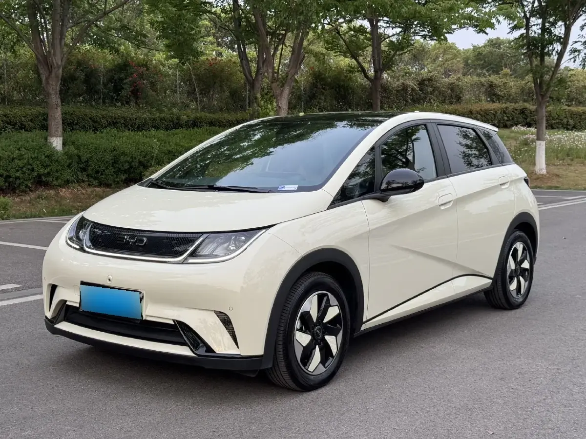 2024 BYD Dolphin BEV 44.928KWH