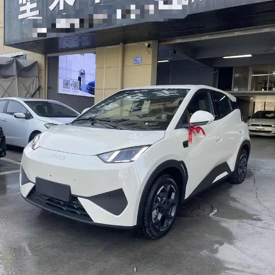 2025 BYD Seagull BEV 30.08KWH