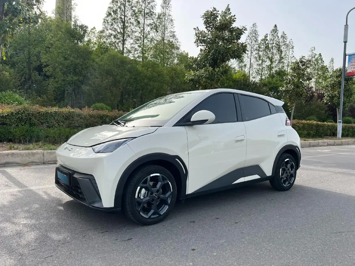 2024 BYD Seagull BEV 30.08KWH