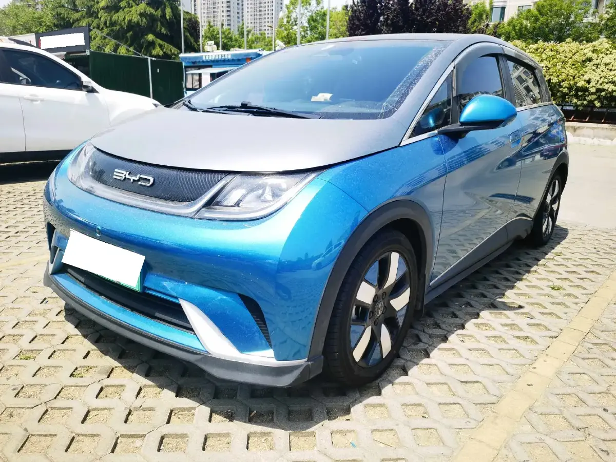 2021 BYD Dolphin BEV 44.9KWH