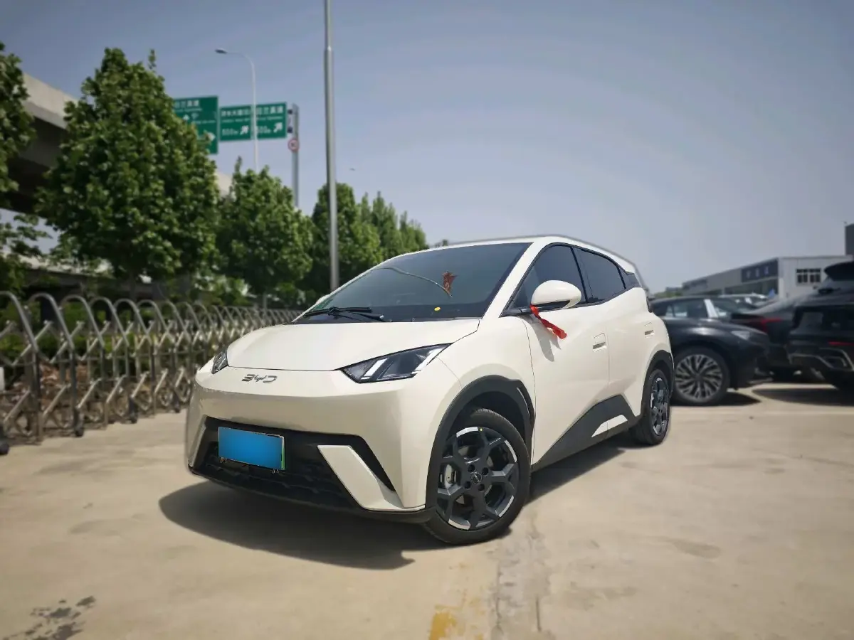 2024 BYD Seagull BEV 30.08KWH
