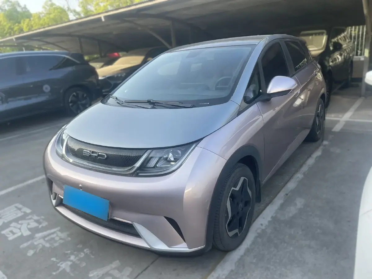 2021 BYD Dolphin BEV 44.9KWH