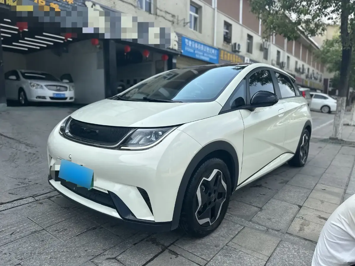2021 BYD Dolphin BEV 44.9KWH