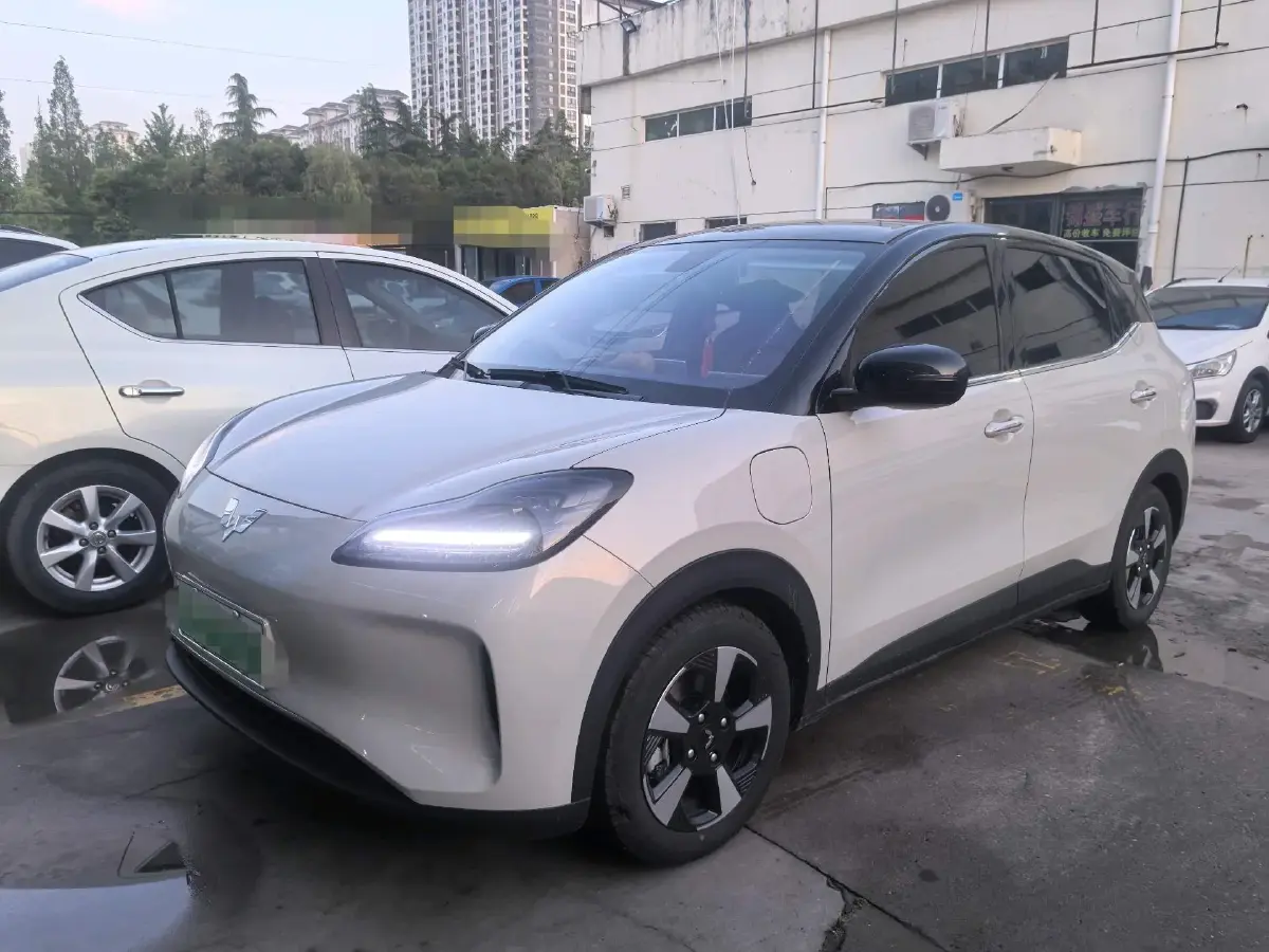 2024 WuLing BinGuoPLUS BEV 50.6KWH