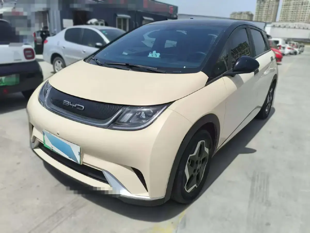 2021 BYD Dolphin BEV 44.9KWH
