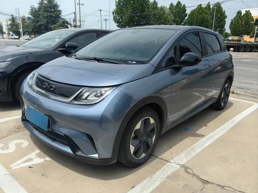 2024 BYD Dolphin BEV 44.928KWH