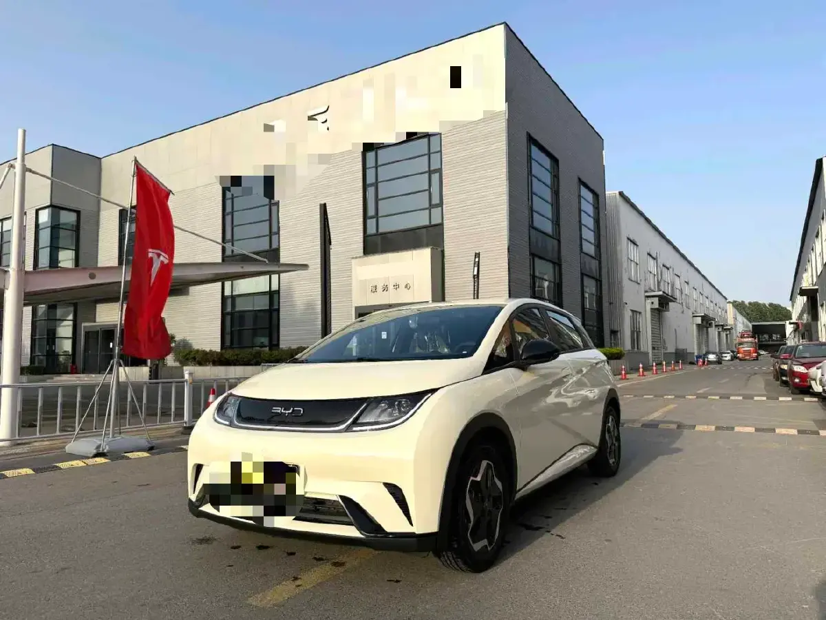 2024 BYD Dolphin BEV 44.928KWH