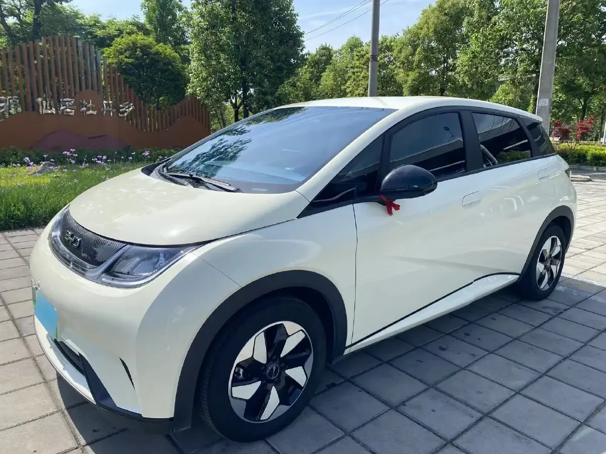 2024 BYD Dolphin BEV 44.928KWH