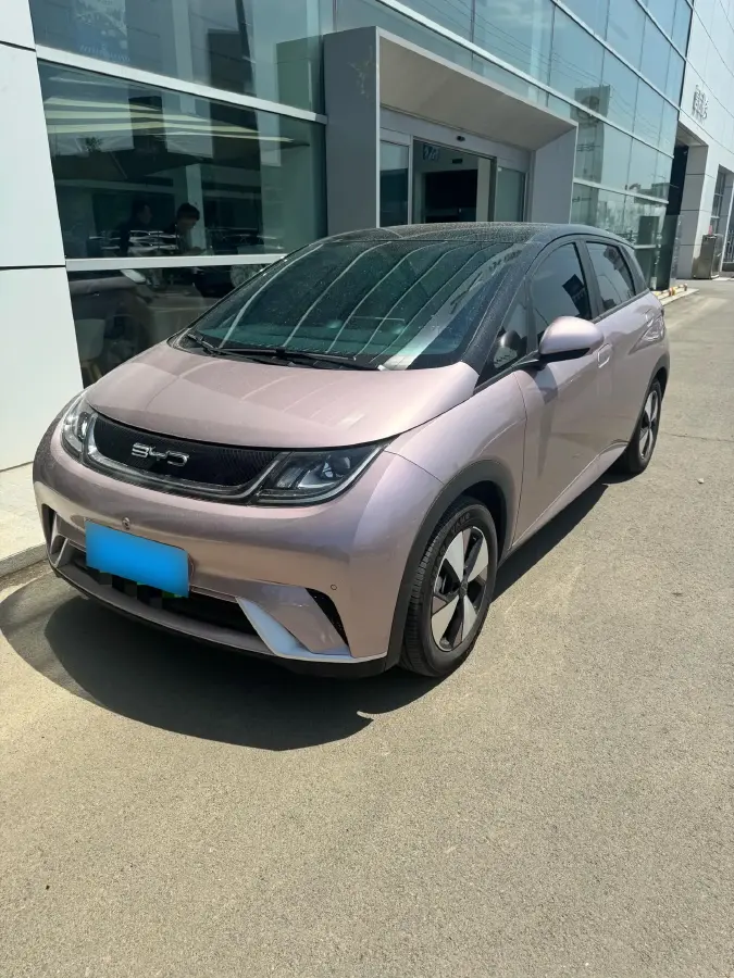 2023 BYD Dolphin BEV 44.928KWH