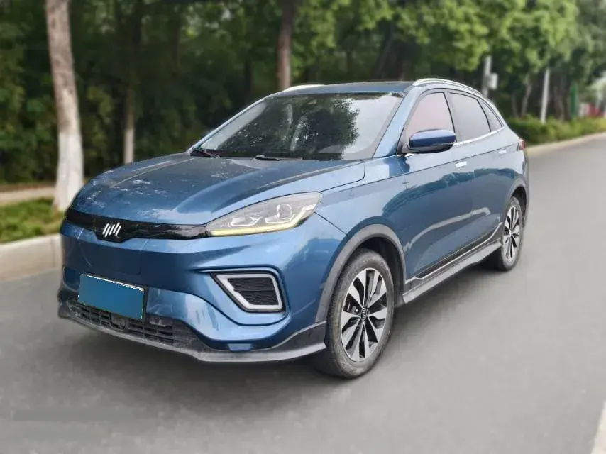 2020 Weltmeister EX5 BEV 69KWH