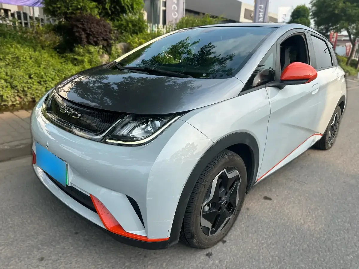 2021 BYD Dolphin BEV 44.9KWH
