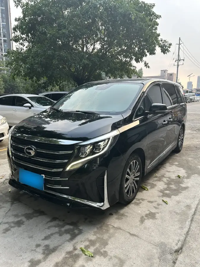 2021 GAC Trumpchi M8 2.0T 252HP L4 8AT