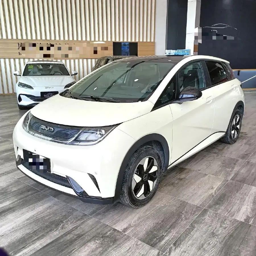 2024 BYD Dolphin BEV 44.928KWH