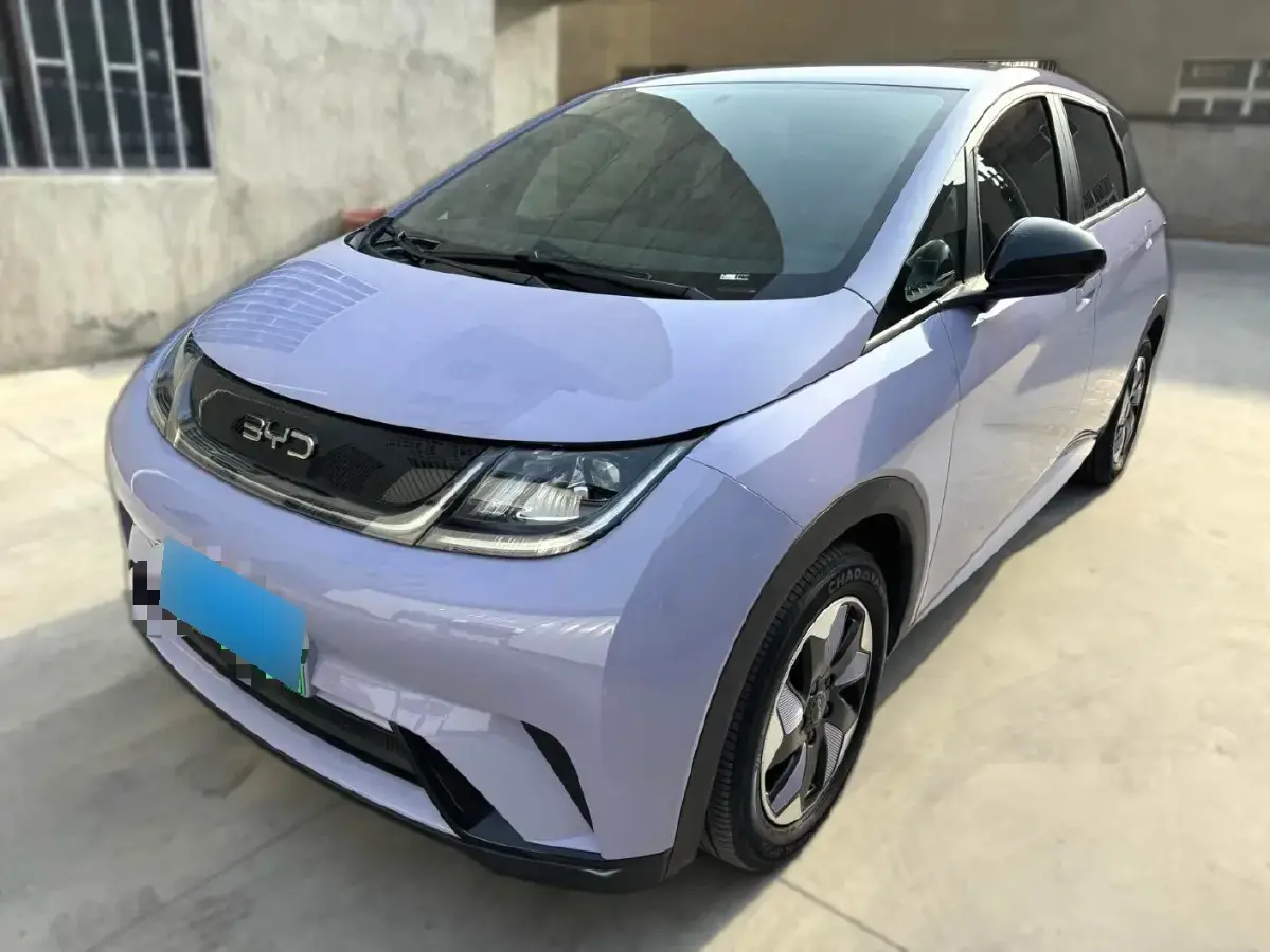 2024 BYD Dolphin BEV 44.928KWH