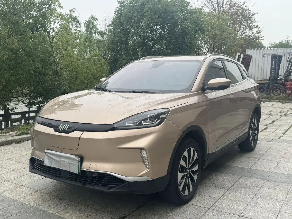 2018 Weltmeister EX5 BEV 52.56KWH