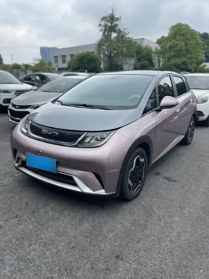 2021 BYD Dolphin BEV 44.9KWH