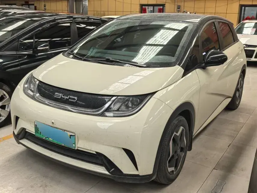 2021 BYD Dolphin BEV 44.9KWH