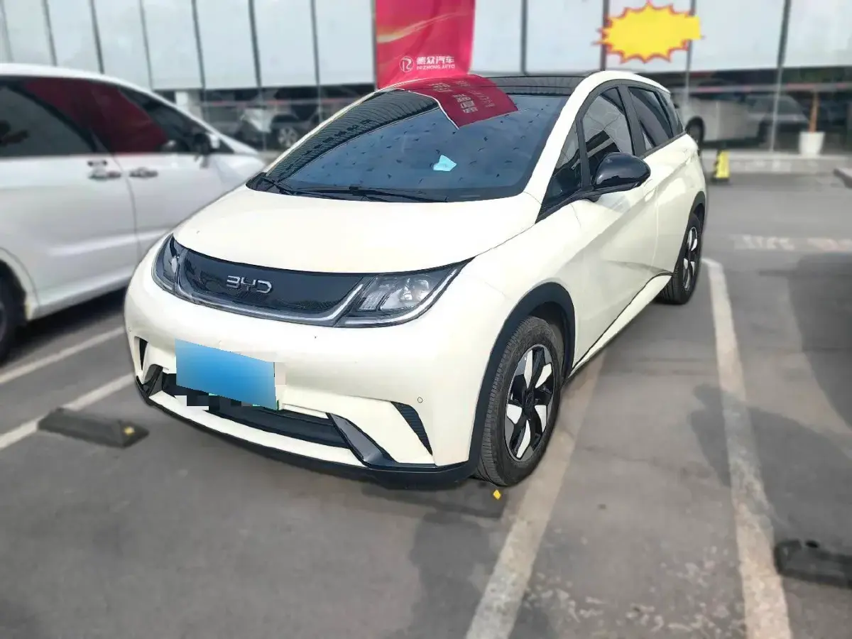 2024 BYD Dolphin BEV 44.928KWH